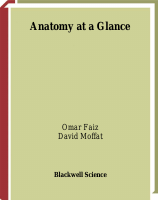 Anatomy At A Glance.pdf